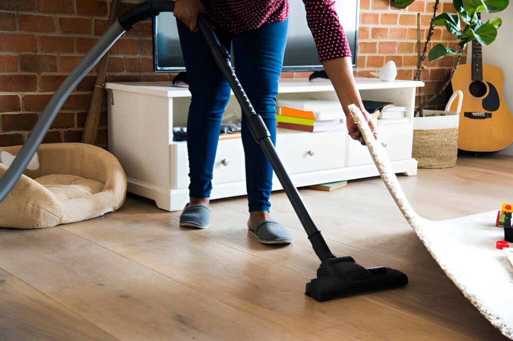 Professional home cleaning services and solutions